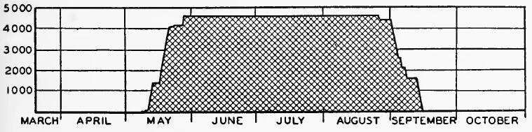 Evacuee Population of Merced Assembly Center