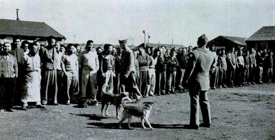 Roll call for pressure boys