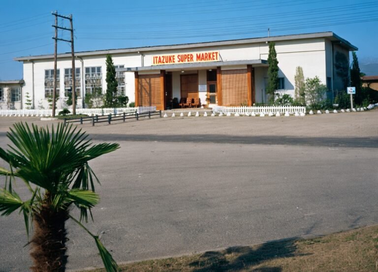 FAHRINGER_1948_supermarket_GrokAI_rendition